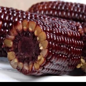 大量收购富硒大米小麦玉米