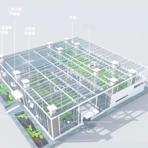 温室大棚设计规划建设 植众农业提供专业技术服务