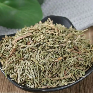 中药材育种生产温室规划建设 植众农业专业服务