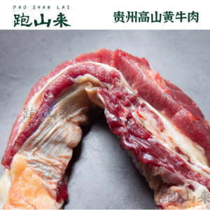 跑山来贵州黄牛肉牛腩500g 现杀整切鲜切牛五花炖牛腩崩沙腩爽腩